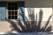 Shadow of Palm Tree on concrete wall