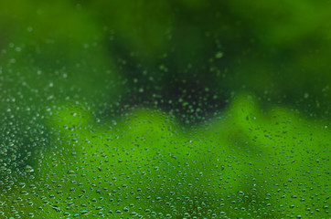 Wall Mural - Blurred and focus of rain drop on glass window with green color background in monsoon season for abstract and background concept.