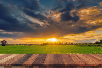 Wall Mural - Rice field sunset and Empty wood table for product display and montage.