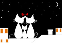 Silhouette White Cats In Love Watching On The Stars Black Background Vector Illustration