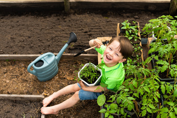 Happy little boy in green clothes sits near vegetable seedlings in a greenhouse