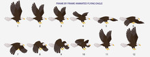 Eagle Fly Cycle, Frame By Frame Animated Flying Bald Eagle Vector Illustration For 2D Animation, Motiongraphics, Infographics
