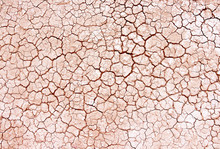 Seamless Dry Soil Cracked Texture Background