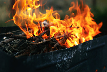 Dry, brown, small tree branches, which is in the black barbeque, burn in the bright- red fire. Fire flame is very strong and aggresive. Blurred background.