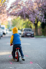 Poster - Children, playing on the street with blooming pink cherry trees on sunset