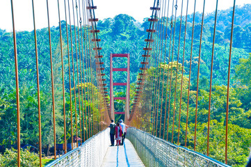 bridge over the river