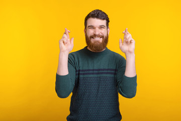 Wall Mural - Smiling bearded man is making hope or wish gesture with both hands on yellow background.