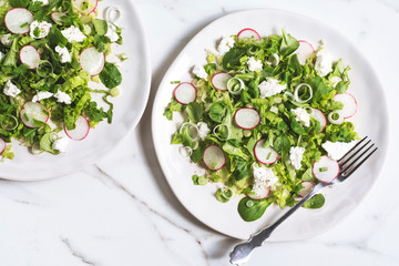 Wall Mural - Low calorie nutrition, home  cooking. Summer light green salad with radish, goat cheese and coriander on a white marble background, flat lay, close up