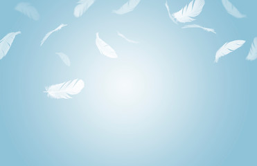 Wall Mural - white feathers floating in the air, blue background with copy space, feathers abstract background 