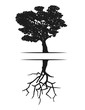 tree silhouette summer and winter reflection vector illustration EPS10