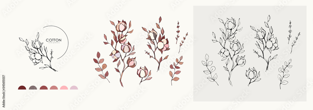 Cotton plant logo and branch. Hand drawn wedding herb, plant and monogram with elegant leaves for invitation save the date card design. Botanical rustic trendy greenery - obrazy, fototapety, plakaty 