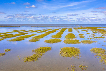 Poster - Aerial view Tidal Marshland national park Waddensea