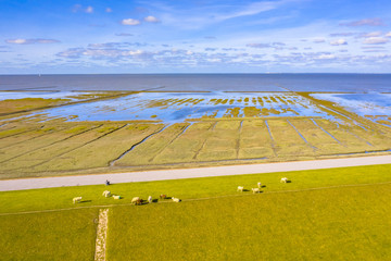 Canvas Print - Aerial view sea dike national park Waddensea