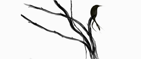 Black crow silhouette bird on branch tree isolated on white background illustration