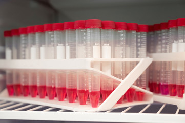 flasks with red caps with patient analyzes in the refrigerator in the laboratory. coronavirus testing. vaccination of the population