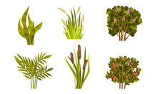 Different Lush Bushes And Grass With Reed Plant Vector Set