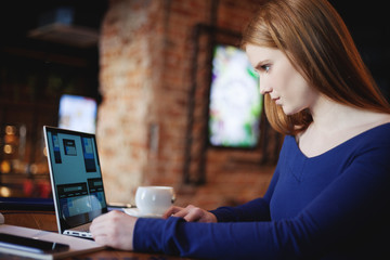 Wall Mural - Focused female freelancer working on laptop in cafe