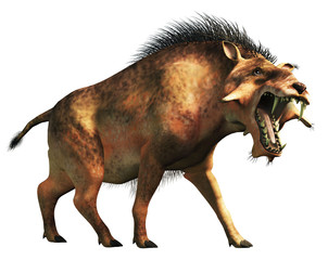 Fototapete - The Entelodon, or hell pig, is an extinct prehistoric pig or boar-like mammal that lived during the Eocene and Miocene. On a white background . 3D Rendering