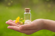 glass container with homeopathic granules and a flower in the palm of your hand. beautiful natural background
