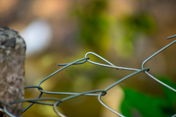 barbed wire fence