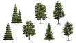 collection of  watercolor trees side view isolated for landscape plan