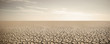 Leinwandbild Motiv Panorama of dry cracked desert. Global warming concept