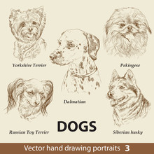 Set Of Hand Drawing Dogs 3