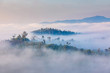 Beautiful clouds and fog coverage mountain valley in the morning colorful, Chiang Dao, Chiang Mai province, Thailand