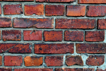 Red brick wall texture background. Square format