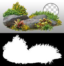 Cutout Rock Surrounded By Flowers.
Garden Design Isolated On Transparent Background Via An Alpha Channel. Flowering Shrub And Green Plants For Landscaping. Decorative Shrub And Flower Bed.