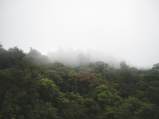 Bosque nuboso de Costa Rica