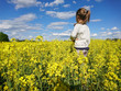 little girl. Endless fields of rapeseed blooming under a blue sky with clouds