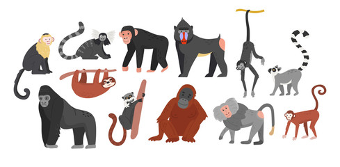 Big collection of funny cartoon different monkeys. Huge set. Vector illustration for web and design