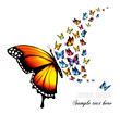 Beautiful nature background with colorful butterflies. Vector.