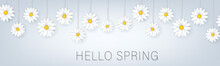 Hello Spring Banner Or Newsletter Header. Tender White Realistic Daisy Flowers. Floral Promo Design. Vector Illustration.