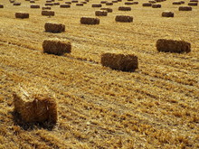 High Angle View Of Hay Bales On Field