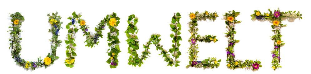 Wall Mural - Flower, Branches And Blossom Letter Building German Word Umwelt Means Environment. White Isolated Background