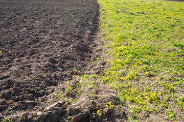 loose soil before planting vegetables on a spring day, agriculture