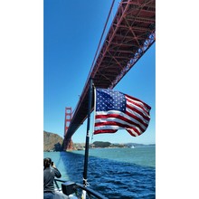 American Flag Under Bridge