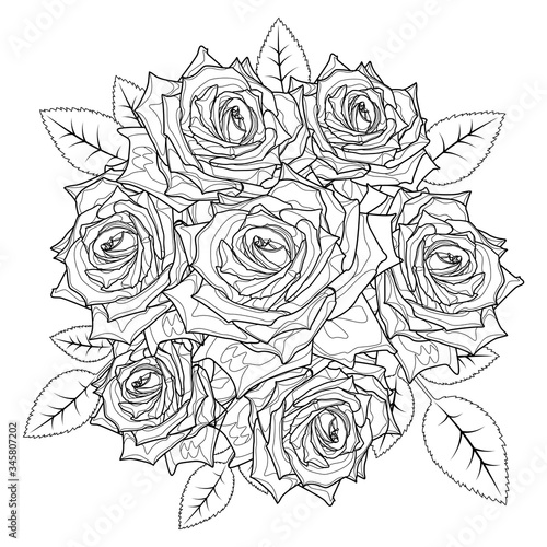 Download Coloring Page Rose Flowers For Adults Stroke Without Fill Vector Romantic Floral Illustration Wedding Invitation Greeting Card Outline Style Black Contour Sketch Isolated On White Background Buy This Stock Vector And