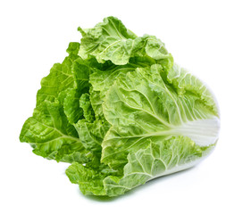 fresh chinese cabbage on a white background