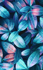 Aufkleber - Natural macro texture of beautiful leaves toned in blue and purple pink tones. Flat lay.