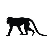 Walking Apes Monkey With Silhouette And Line Art, Ape, Chimpanzee,