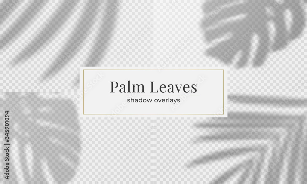 Vector set of palm leaves shadow overlay. Vector transparent shadow effect - obrazy, fototapety, plakaty 