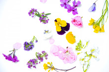 Edible Flowers On The White Background