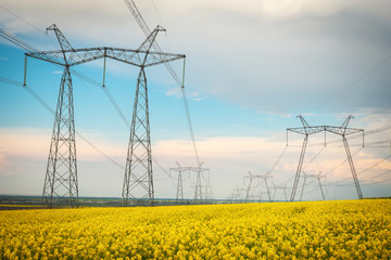 Transmission towers in the middle of a yellow canola field in bloom. High voltage power line at Spring