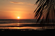 Sonnenuntergang am Strand mit Palme 