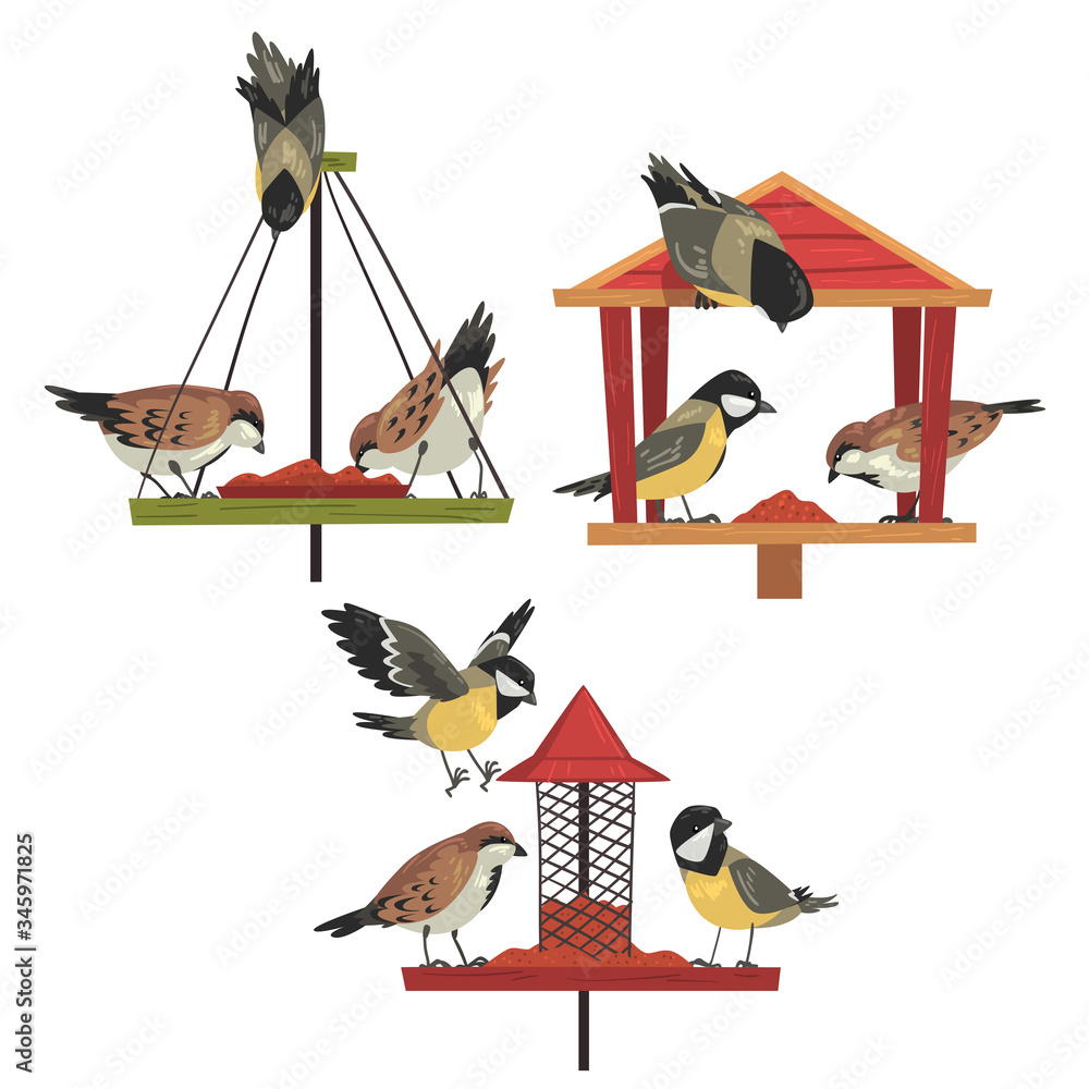 Winter Bird Feeder with Chickadees and Titmouses, Northern Birds Feeding by Seeds Vector Illustration - obrazy, fototapety, plakaty 