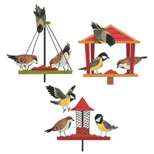 Winter Bird Feeder With Chickadees And Titmouses, Northern Birds Feeding By Seeds Vector Illustration