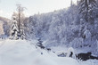 © Dmytro - a beautiful snowy mountain landscape in the Carpathians, a mountain winter river